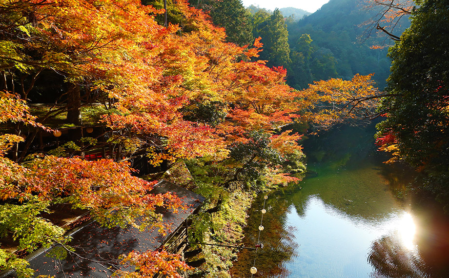 秋の清滝川