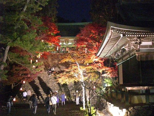 賑わう神護寺の夜間特別拝観とライトアップ