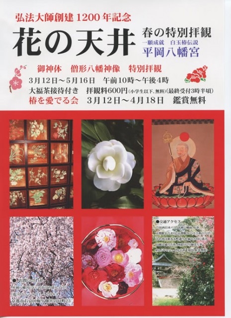 平岡八幡宮「花の天井」特別拝観始まる。