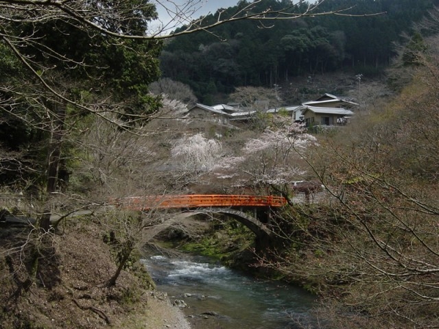高雄の山里の桜が咲き始めました。