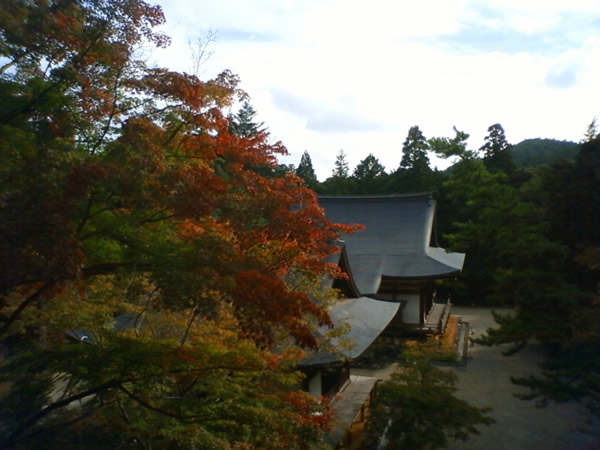 神護寺の紅葉始まりました。