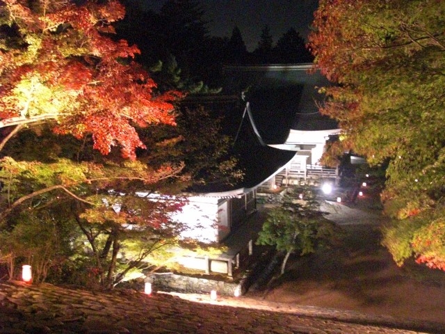 神護寺の夜間特別拝観始まる。