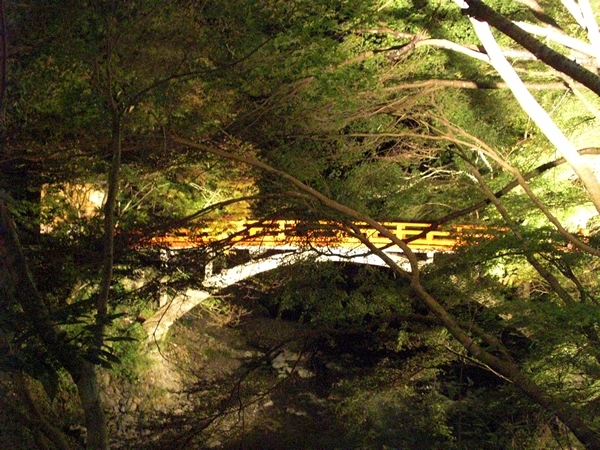 ライトアップされた槇尾の指月橋