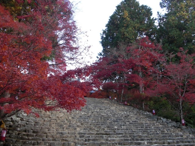 11月19日現在の紅葉。