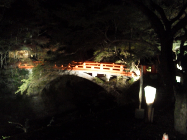 清滝川沿い、西明寺の指月橋のライトアップです。