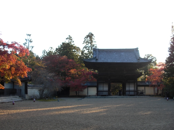 11月15日現在の紅葉。