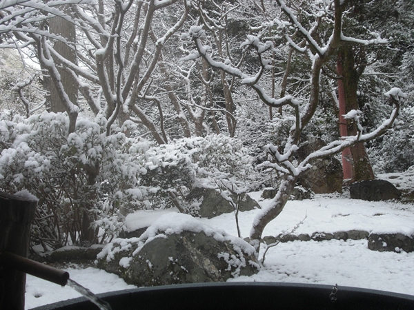 この冬初めての雪景色となりました。