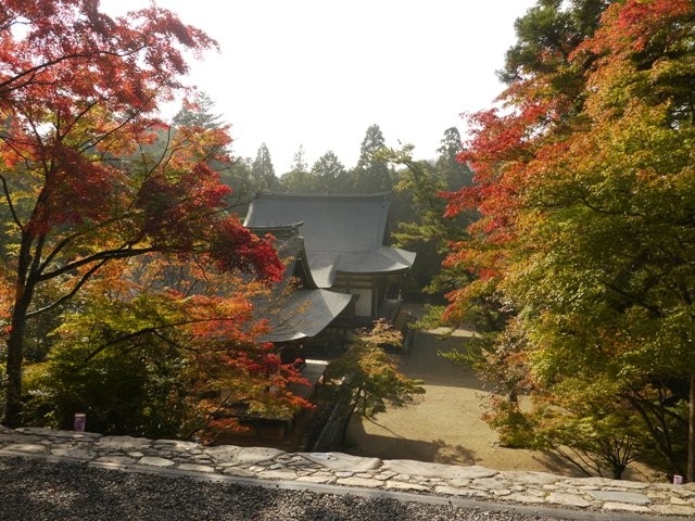 11月2日の神護寺の紅葉。