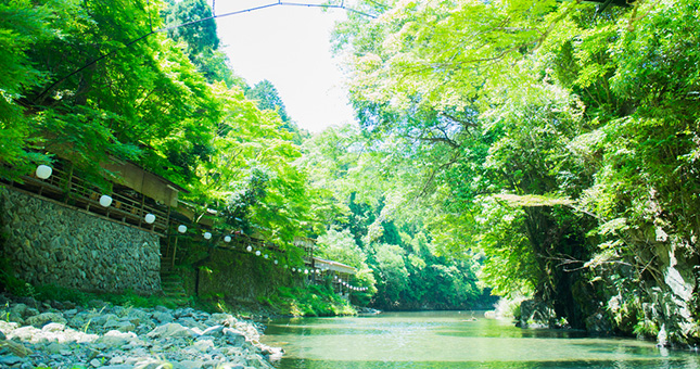 嵯峨豆腐「森嘉」の湯豆腐＆新緑の風を開放的な川床で楽しむランチプラン！