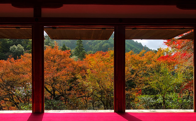 京都 高雄観光イメージ